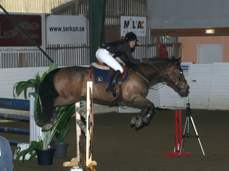 20080405_161958 Frida Nilsson Shaman